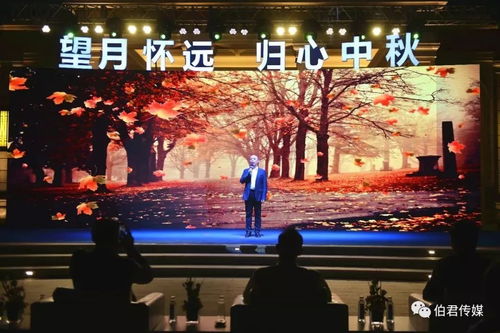 圆满明亮的望月