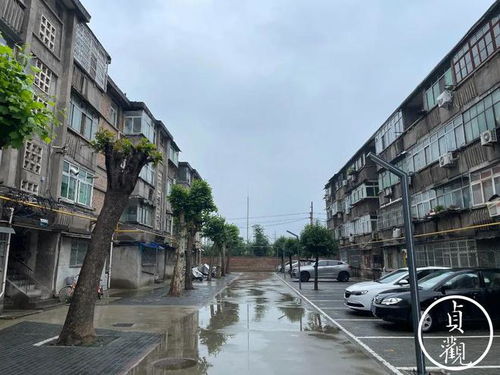 房价下跌趋势下，买房还是观望？