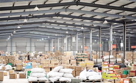 对外开放平台成外贸增长新高地：百度爱采购助力出口转内销