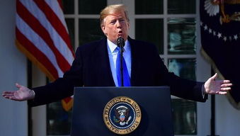 特朗普回应场景