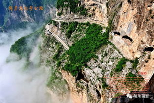 太行110运行场景