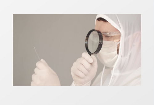 知心姐专注调查