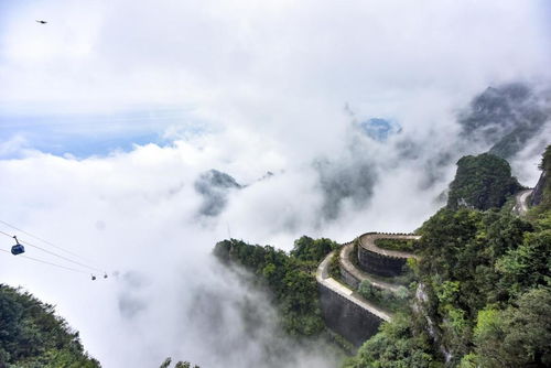 张家界旅游业遇冷？前7月接待费用竟只有2100元！