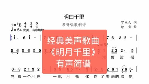 音乐人的独特眼光！揭秘歌曲《3977》背后的评价真相
