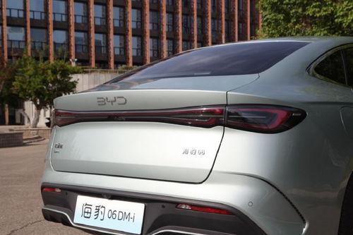 慕尼黑车展前瞻：中国军团大举出击，BBA迎新时代