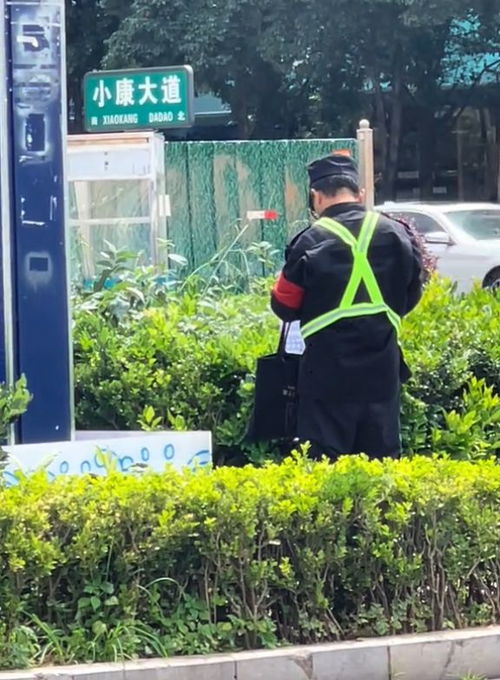 特朗普现身美网决赛，安保升级比赛推迟，球迷嘘声不断