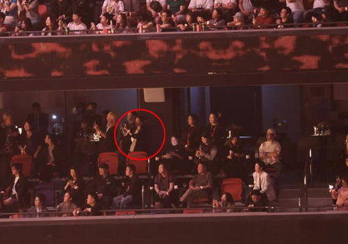 谢霆锋再成安德玛户外代言人，全能天王的商业魅力