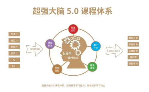 驾控超级大脑示意图