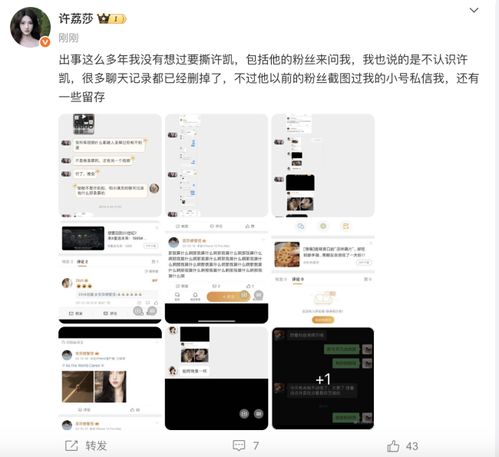 许荔莎曝光的聊天记录