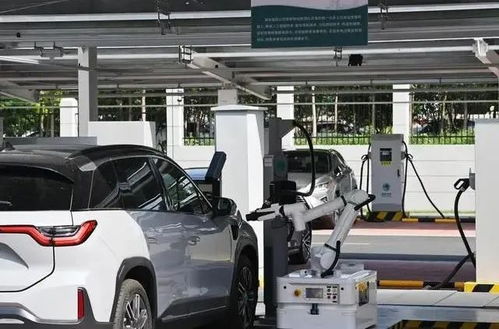 ‘蔚小理’集体撕毁价格底线，新能源车市掀起新一轮风波