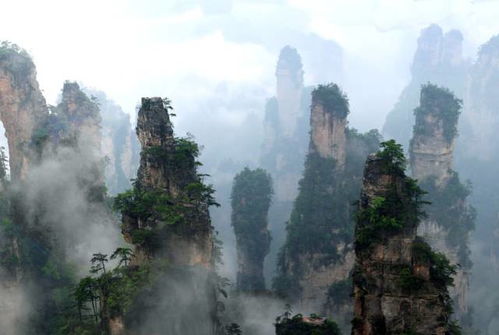 张家界乡镇接待费仅2100元背后的故事