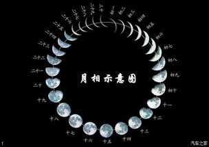 细弯的新月形状