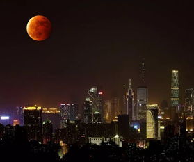 月全食全食阶段