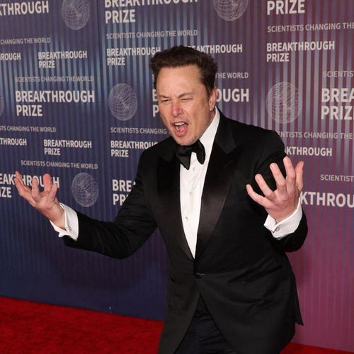 这是马斯克的表情包