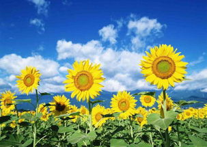 英国对华认知大转变？专家解读来了！