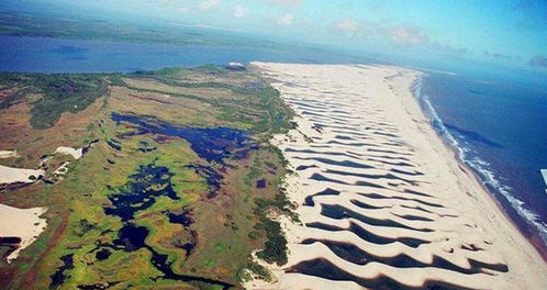 三代人六十年种树，沙漠变绿洲的传奇故事