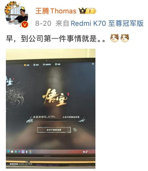 王腾回应被小米辞退：承认过往错误并愿承担后果