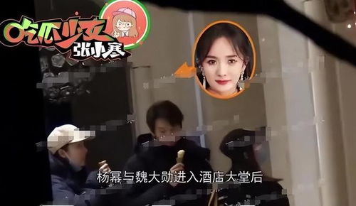 何炅告诉魏大勋这是在直播，背后故事引人深思