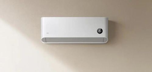 小米卢伟冰：金凡可以上桌了！解读小米空调战绩与未来策略