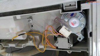 洗衣机内部结构示意图