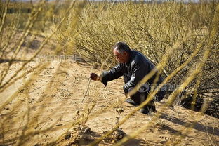 赵雪彬在沙漠劳动