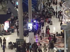 他信回到曼谷机场