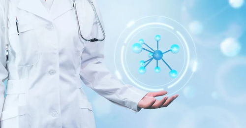 类脑模型医疗应用