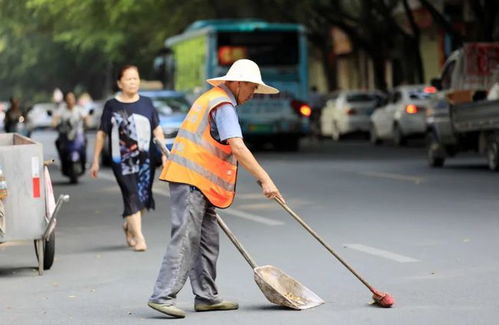 青岛环卫工人为何把垃圾扫进大海？真相令人深思