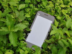 小米手机爆炸伤童事件再掀波澜，背后真相引关注！