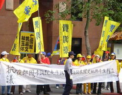 岛内民众抗议场景