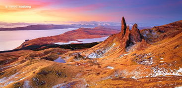 每日一探神秘宝藏吧之沼泽过滤吧