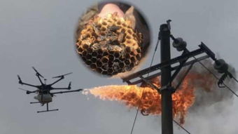 无人机大战马蜂：高科技治虫新招数！