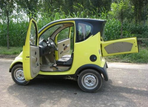 男子2万拍下'玛莎拉蒂'竟是'老头乐'