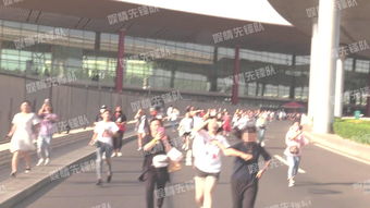 粉丝排队的壮观场面