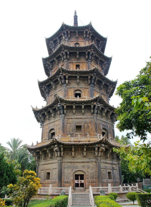 湖北明代古塔上的神奇朴树，背后故事令人惊叹！