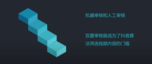 抖音审核机制图示