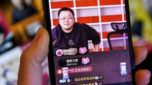 网红柴怼怼被警方带走，背后真相令人震惊！