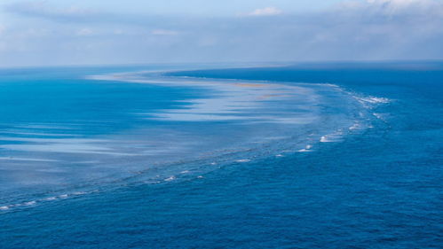 黄岩岛新设国家级自然保护区，意义非凡！