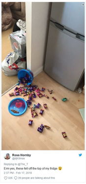 汕头南澳海域3.8级地震，当地居民真实感受大揭秘！