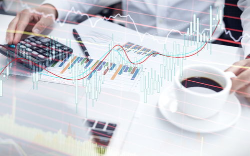 理性投资建议图