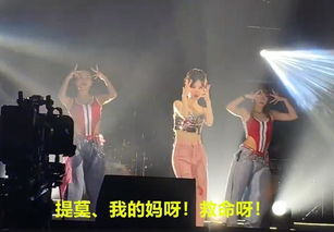 粉丝们在现场激情呐喊的场景