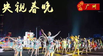 演唱会舞台上的白玫瑰