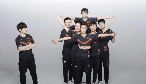 TES团队配合画面