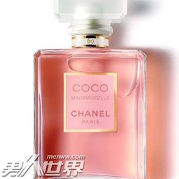 香奈儿收集癖：我的时尚痴迷之旅