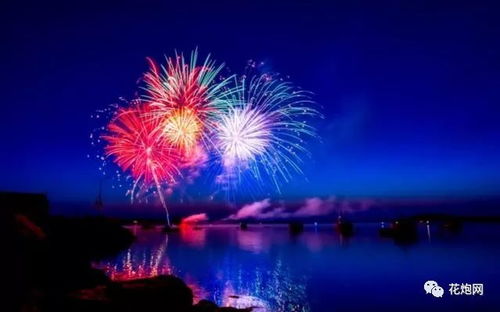 烟花在夜空中绚烂绽放