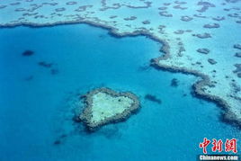 黄岩岛周边的珊瑚礁群