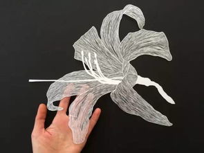 每天一个宝藏吧——纸片党吧的奇妙世界