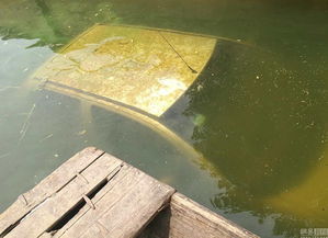 暴雨来袭！郑州呼吁市民非必要勿出行，安全第一啊！