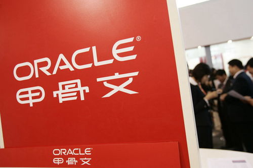 甲骨文公司产品展示