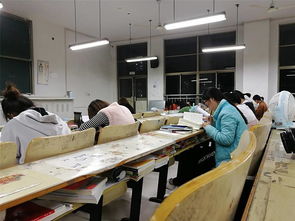 学生们认真学习